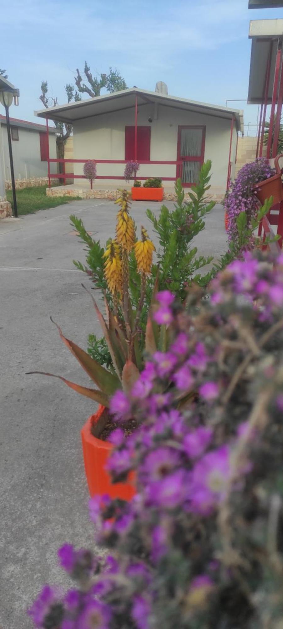 Villaggio Albergo Cervo Zapponeta Kültér fotó