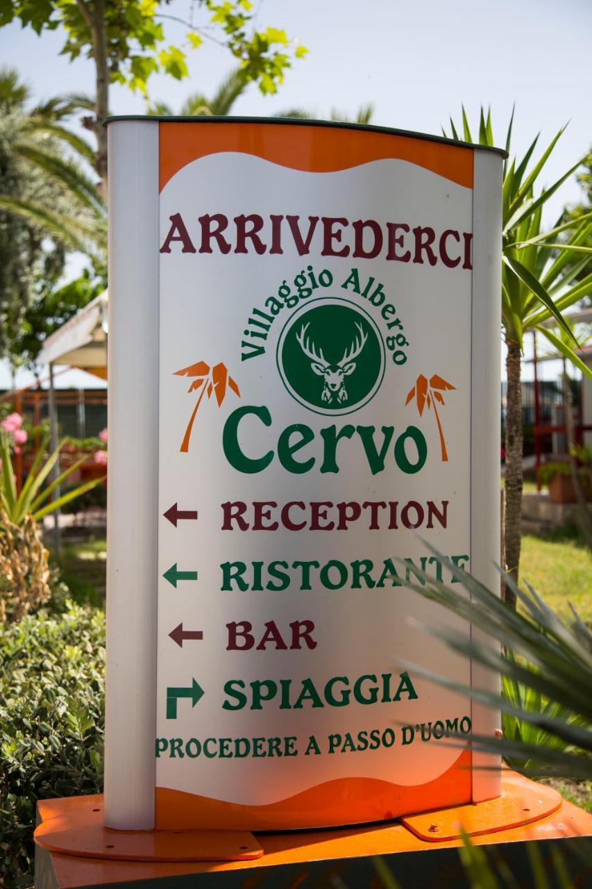 Villaggio Albergo Cervo Zapponeta Kültér fotó